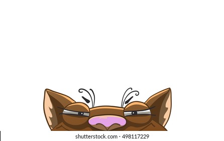 Tricky funny cat, background template. Half of face. Vector illustration isolated on white. 
