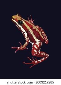 tricolor poison dart frog, poisonus frog, exotic, vector