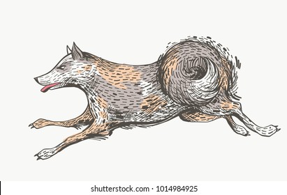 Tricolor spotted running dog, hand drawn character sketch. Ink vector illustration. Hound fast jumping, hunting animal.