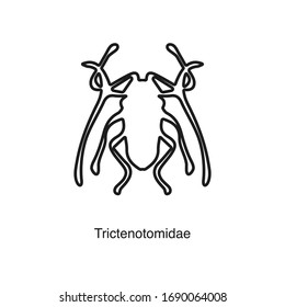 Icono de trictenotomidae vectorial sobre fondo blanco. Icono negro