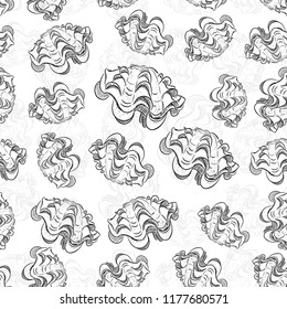 tridacna squamosa, bivalves are a large class of molluscs, also known as pelecypods. Sketch black contour isolated on white background. Can be used for fabrics, wallpapers. Vector