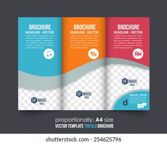 Tri-fold Brochure and Catalog Vector Concept Template 