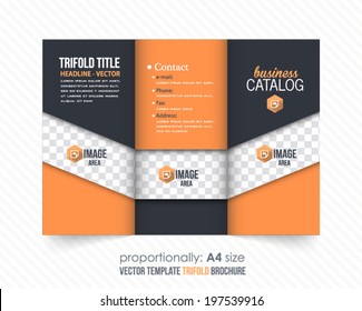 Tri-fold Brochure and Catalog Vector Design Template