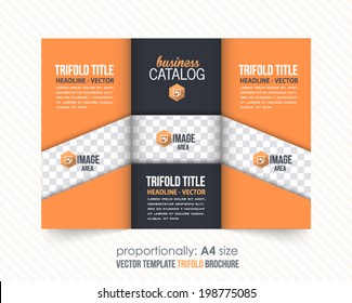 Tri-fold Brochure and Catalog Vector Design Template