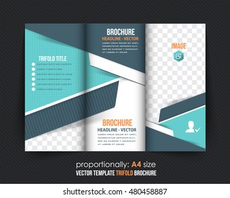 Tri-fold Brochure and Catalog Vector Design 