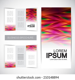 Tri-fold brochure design