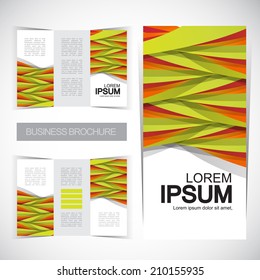 Tri-fold brochure design