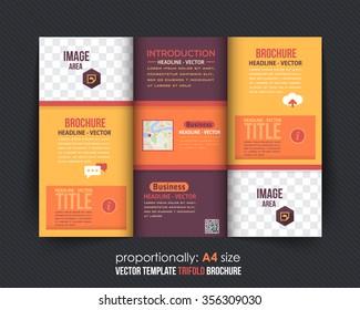 Tri-fold Brochure Design and Catalog Vector Concept Template 