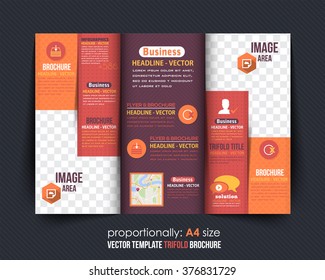 Tri-fold Brochure Design and Catalog Vector Concept Template 