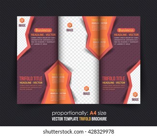 Tri-fold Brochure Design and Catalog Vector Concept Template 