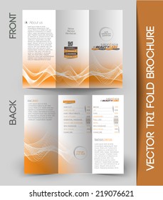 Tri-fold Brochure Design Element. Vector Illustration