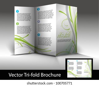 Tri-fold brochure design, vector illustration.