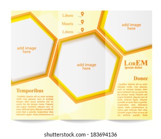 Tri-fold brochure template