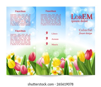 Tri-fold brochure template