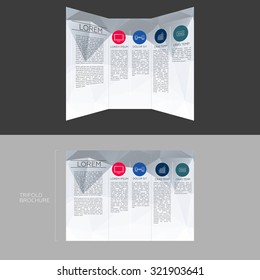 Trifold Brochure Template Design in DL Size | EPS10 Vector