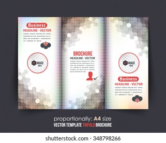 Tri-fold Design and Brochure, Catalog 