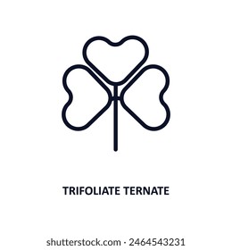 trifoliate ternate icon. Thin line trifoliate ternate icon from nature collection. Outline vector isolated on white background. Editable trifoliate ternate symbol can be used web and mobile