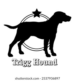 Trigg Hound. dog silhouette,  dog, dog breeds, logo, vector, silhouette, logo design, animal, illustration, icon, sign, design, black,  symbol, pet