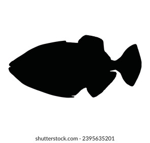 Triggerfish vector illustration, black silhouette, side view.