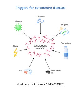 triggers for autoimmune diseases. The immune system to produce antibodies that attack and cause damage to the other cells. Vector illustration for educational and medical use