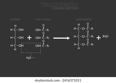 Fórmula química molecular de triglicéridos