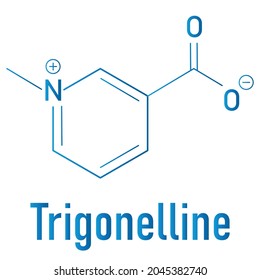 Trigonelline molecule skeletal formula. Metabolite of niacin (vitamin B3) but also found in a number of plants, including fenugreek.