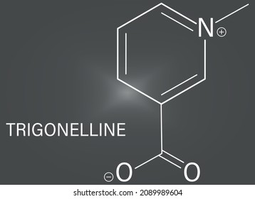 Trigonelline molecule skeletal formula. Metabolite of niacin, vitamin B3, but also found in a number of plants, including fenugreek.