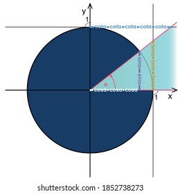 Trigonometric circle. Presentation of functions sine, cosine, tangent and cotangent on the trigonometric circle.
