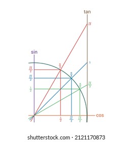 Trigonometric unit circle. Sine, cosine and tangent