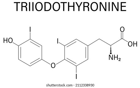 Triiodothyronine T3 Liothyronine Thyroid Hormone Molecule Stock Vector ...