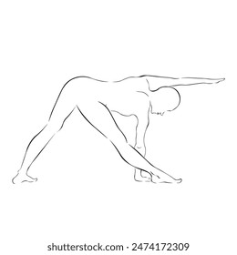 Trikonasana triangle pose , Vector Art Illustration, Meditation, Yoga, Zen