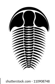 Trilobite