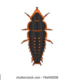 Trilobite beetle Duliticola Platerodrilus.  hand-drawn Sketch of Trilobite beetle. Trilobite beetle isolated on white background. Vector illustration