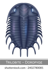 Trilobite Doropyge colorful illustration, a Cambrian period creature.