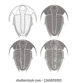 Trilobite fossil collection - natural history - vintage vector illustration