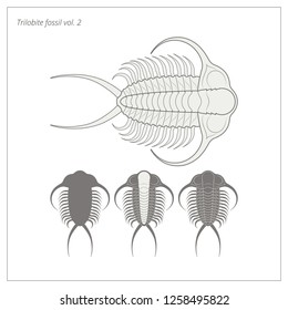 Trilobite fossil - natural history - vector illustration