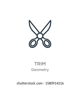 Trim icon. Thin linear trim outline icon isolated on white background from geometry collection. Line vector sign, symbol for web and mobile