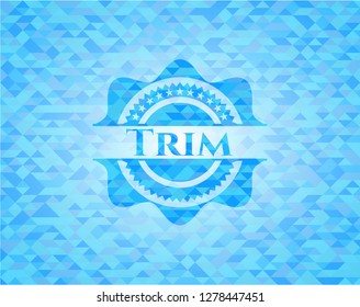 Trim light blue emblem with triangle mosaic background