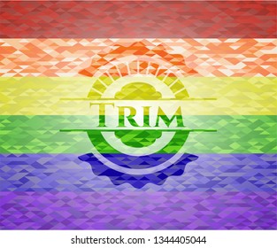 Trim on mosaic background with the colors of the LGBT flag