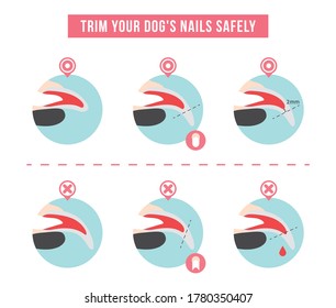 Trim Your Dog's Nails Safely