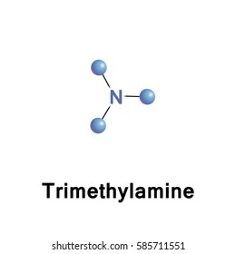 Trimethylamine is a nitrogenous base and can be protonated to trimethylammonium cation. This colorless, hygroscopic, and flammable tertiary amine has a strong fishy or an ammonia-like odor 