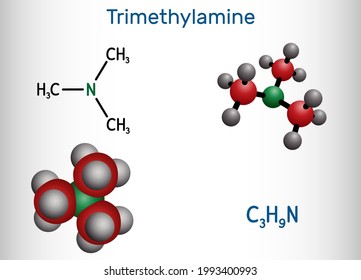 Trimethylamine Tma Molecule Amine Methylamine Synthesized Stock Vector ...