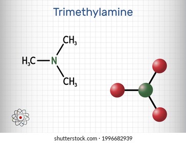 Trimethylamine, TMA molecule. It is amine, methylamine, synthesized by microbial enzymes in gut with involvement of dietary components. Sheet of paper in a cage. Vector illustration