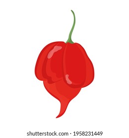 Trinidad Scorpion Hot Pepper  Vector stock illustration isolated white background 