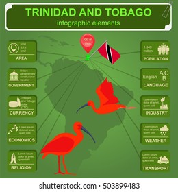 Trinidad and Tobago infographics, statistical data, sights. Scarlet (red) ibis, national symbol. Vector illustration