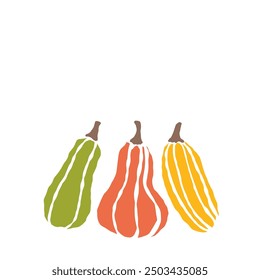 Trio of colorful squash varieties displayed against a white background during harvest season