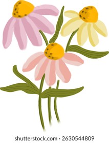 A Trio of Hand-Drawn Echinacea Flowers
