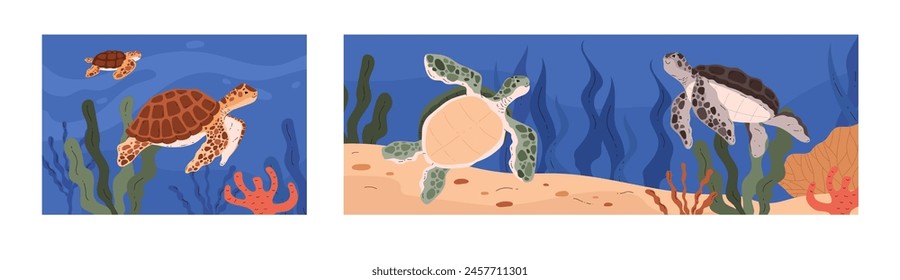 Trio of sea turtle scenes. Vector illustration set depicting various turtles in their natural ocean habitat, ideal for series display or storytelling.