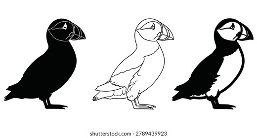 A trio of seabird graphics offering stylistic variations for ecological or travel themes. Ideal for educational materials or branding.