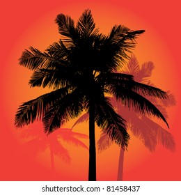 A trio of tropical coconut palm tree silhouettes illustration in vector format.